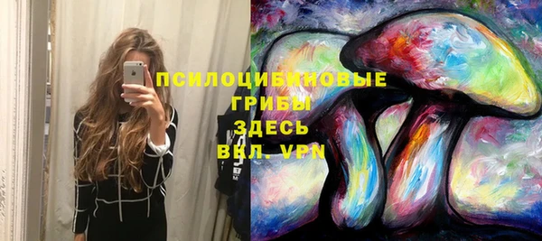 СК Абдулино