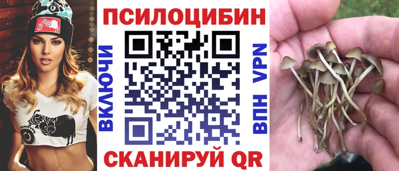 Псилоцибиновые грибы GOLDEN TEACHER  хочу   Новомичуринск 